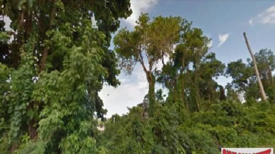 Terreno de 11096m² en Rawai, Thailand No. 784