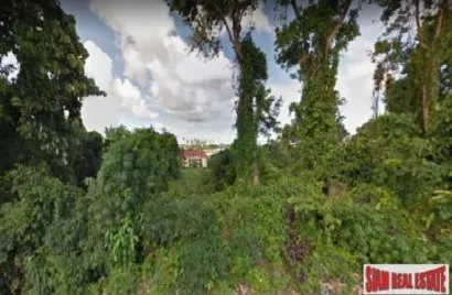 11096m² land for sale, Rawai, Thailand No. 784