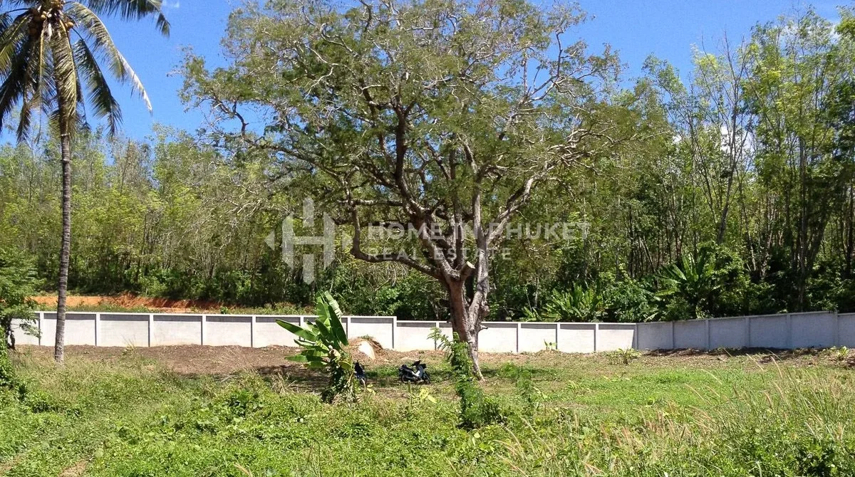 Land for sale, Rawai, Thailand No. 426