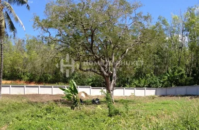 Land for sale, Rawai, Thailand No. 426