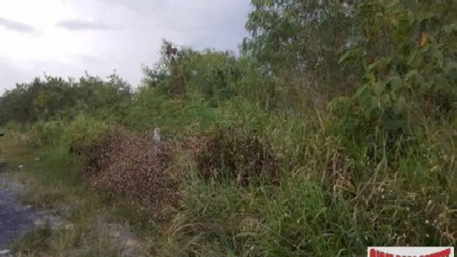 2400m² land for sale, Rawai, Thailand No. 785 № 2